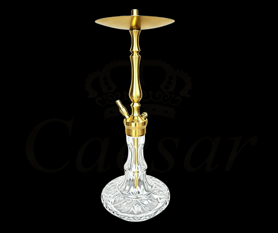 WD HOOKAH - B3G - 9 - Caesar Shisha