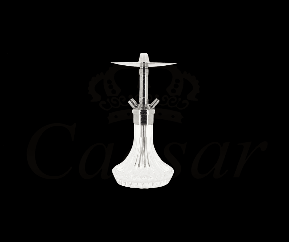 WD HOOKAH - X1.0 - 3 - Caesar Shisha