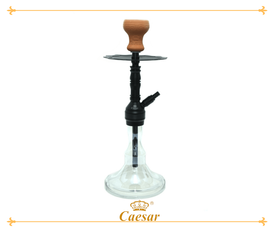 Final Star - Black - Transparent