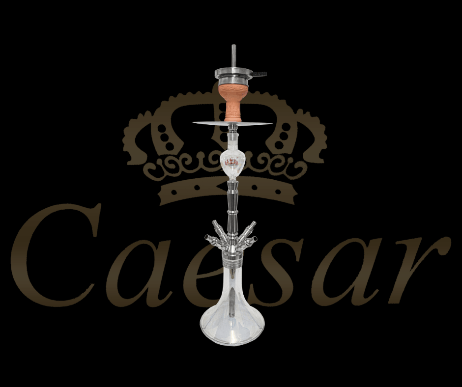 4kings - Stainless Steel - 4'er - Transparent - Caesar Shisha