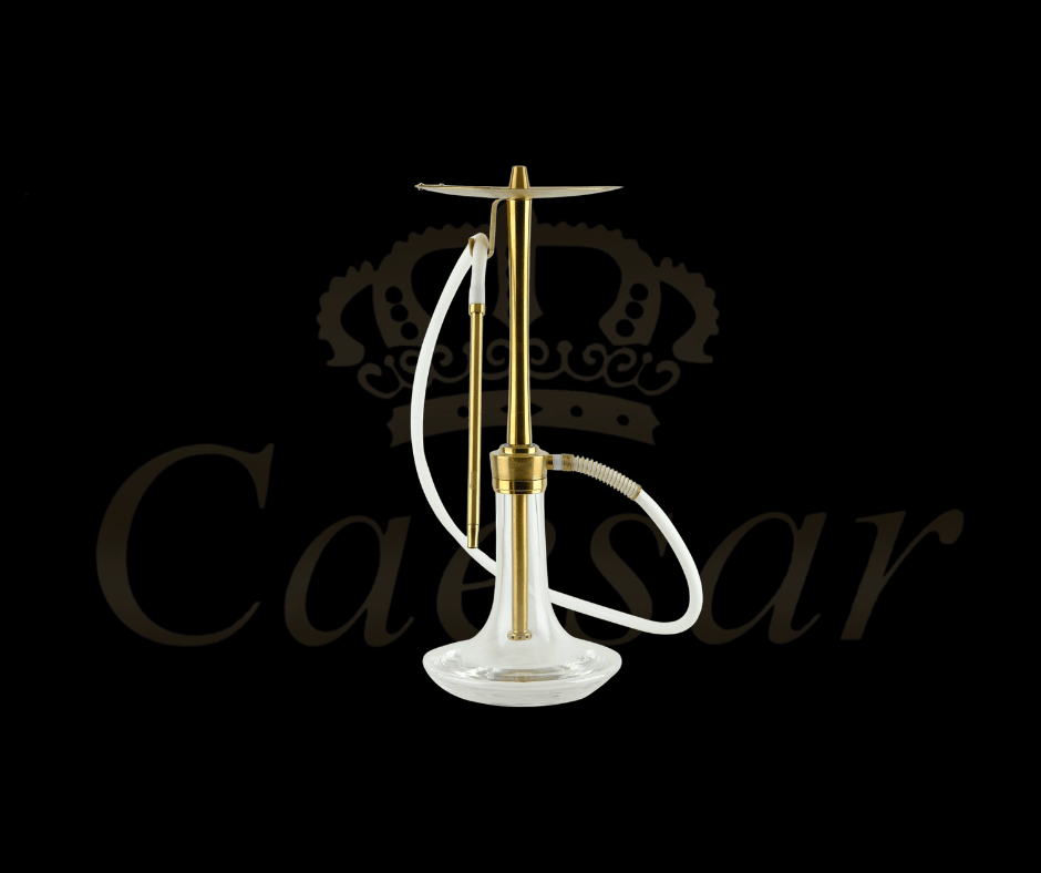 Oduman COSMO (Gold & Transparent) - Caesar Shisha