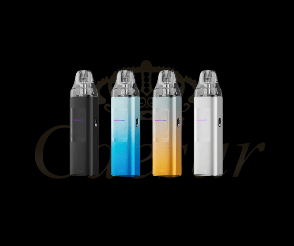 Vinci S - Caesar Shisha