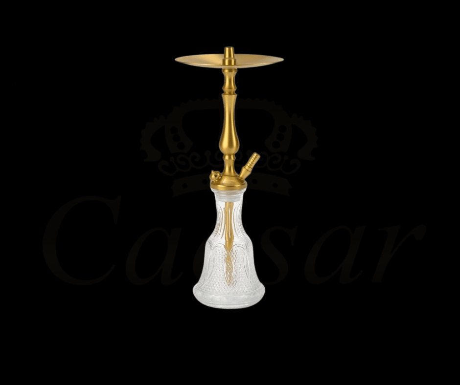 WD HOOKAH - T1G - 127B - Caesar Shisha