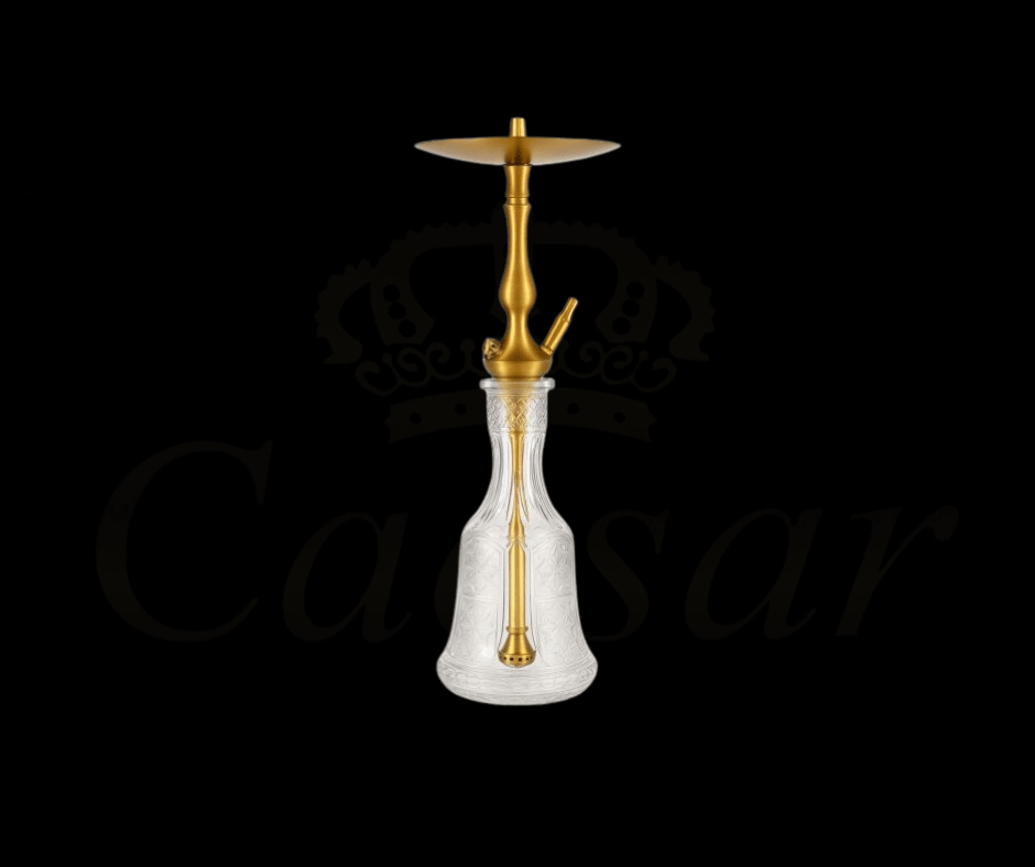 WD HOOKAH - T1G - 163 - Caesar Shisha
