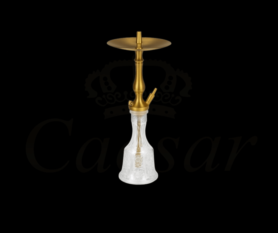 WD HOOKAH - T1G - 19 - Caesar Shisha