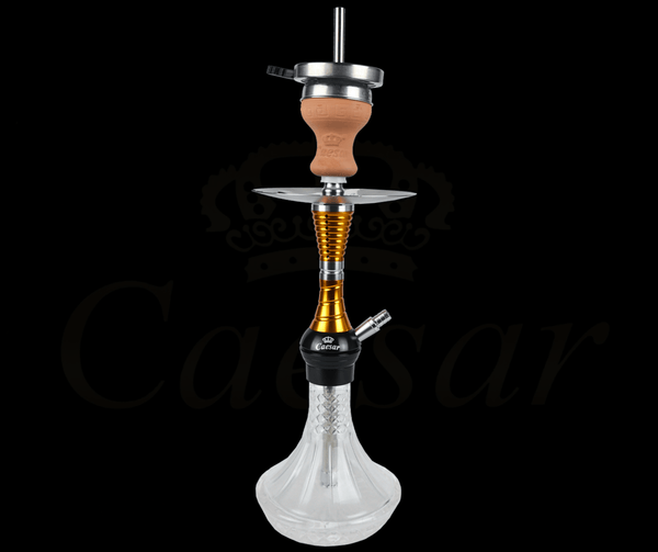 Caesar 02 - Gold / Transparent - Caesar Shisha