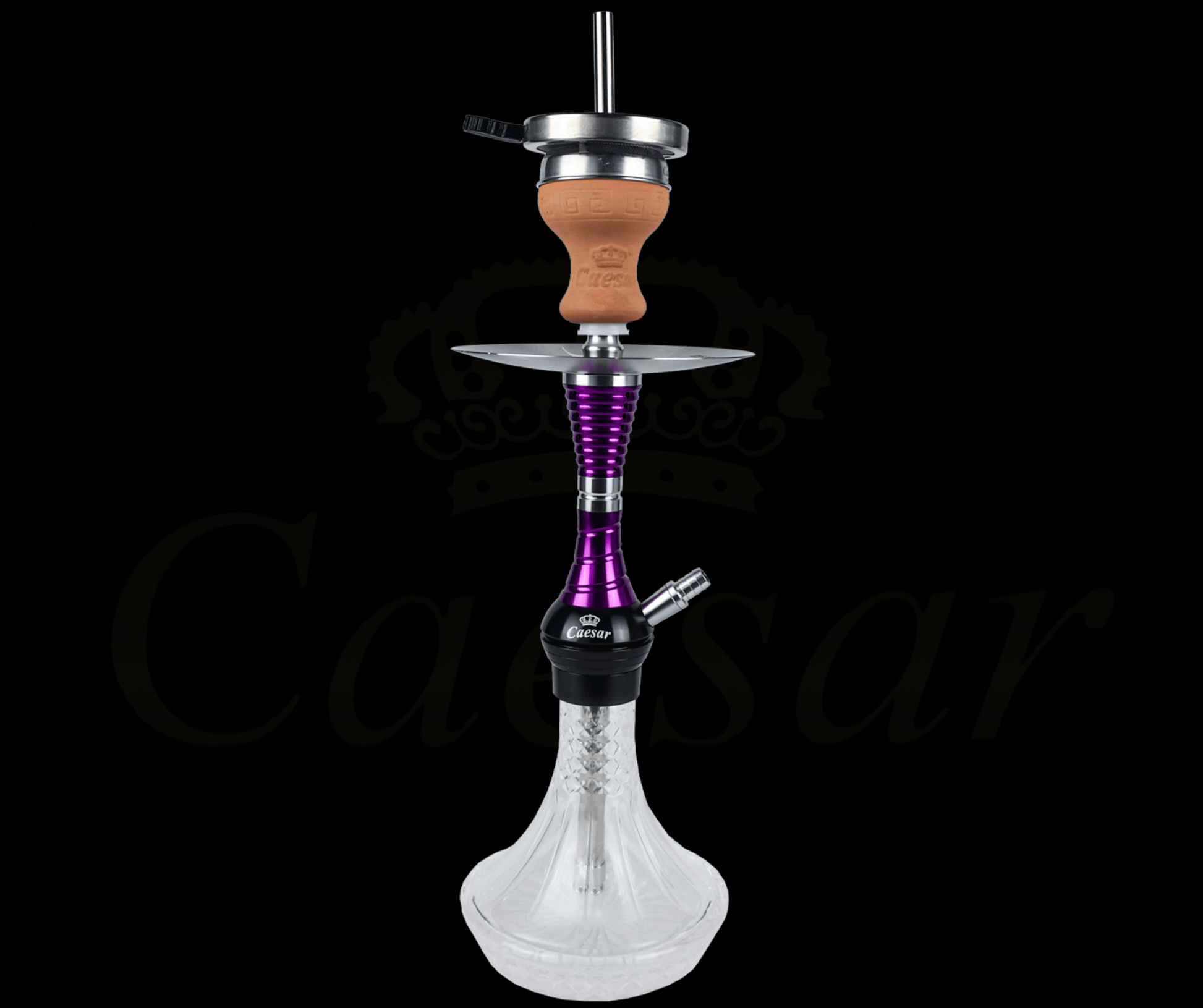 Caesar 02 - Purple / Transparent - Caesar Shisha