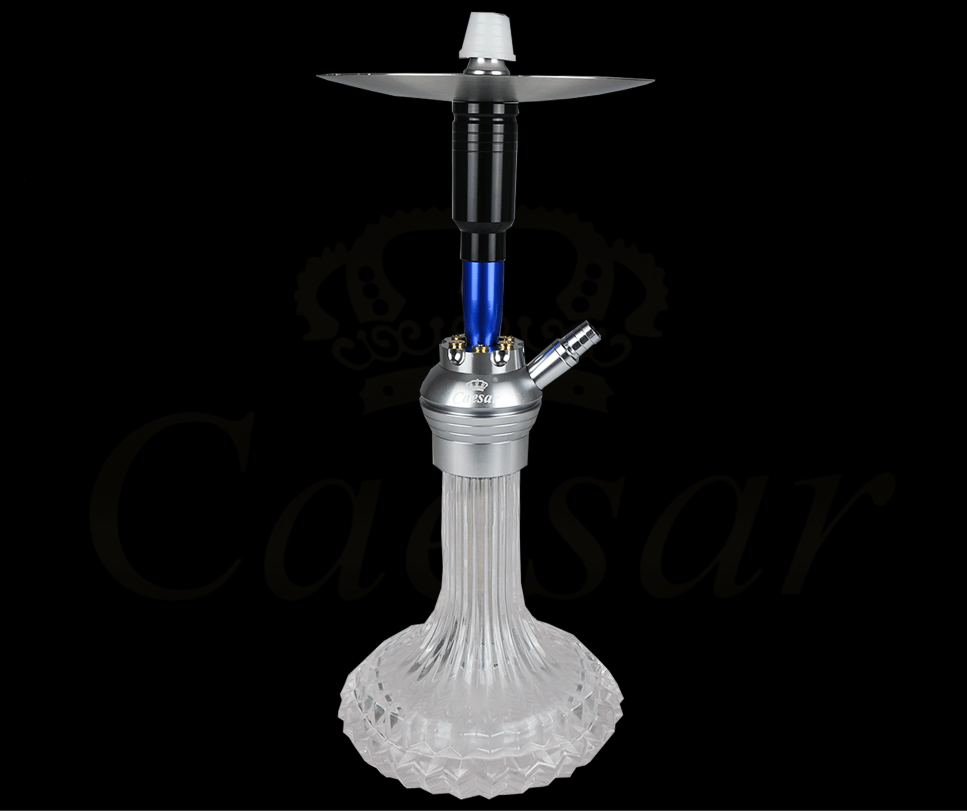 Caesar 05 - Blue / Transparent - Caesar Shisha
