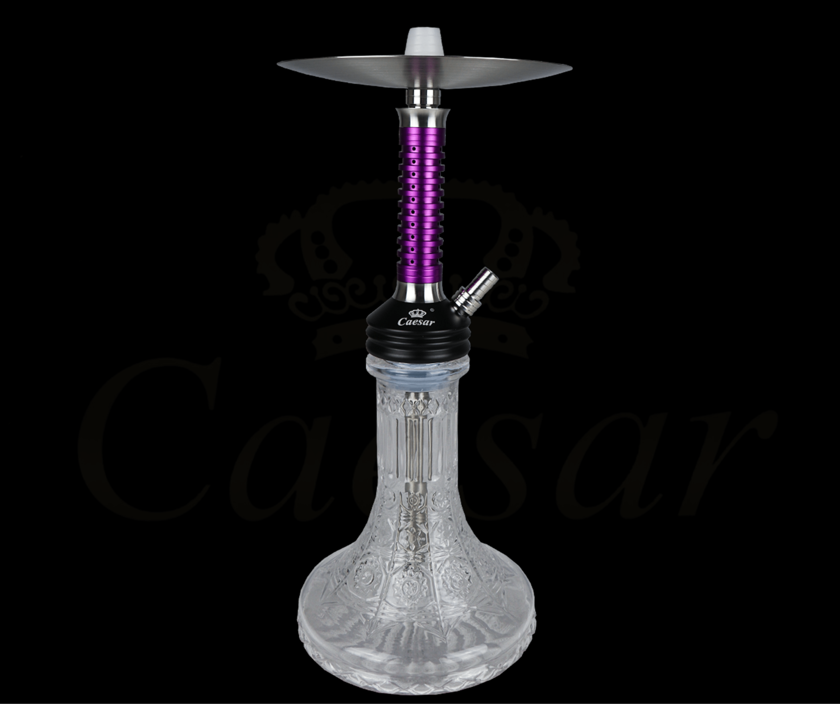 Caesar 12 - C - Purple / Transparent - Caesar Shisha