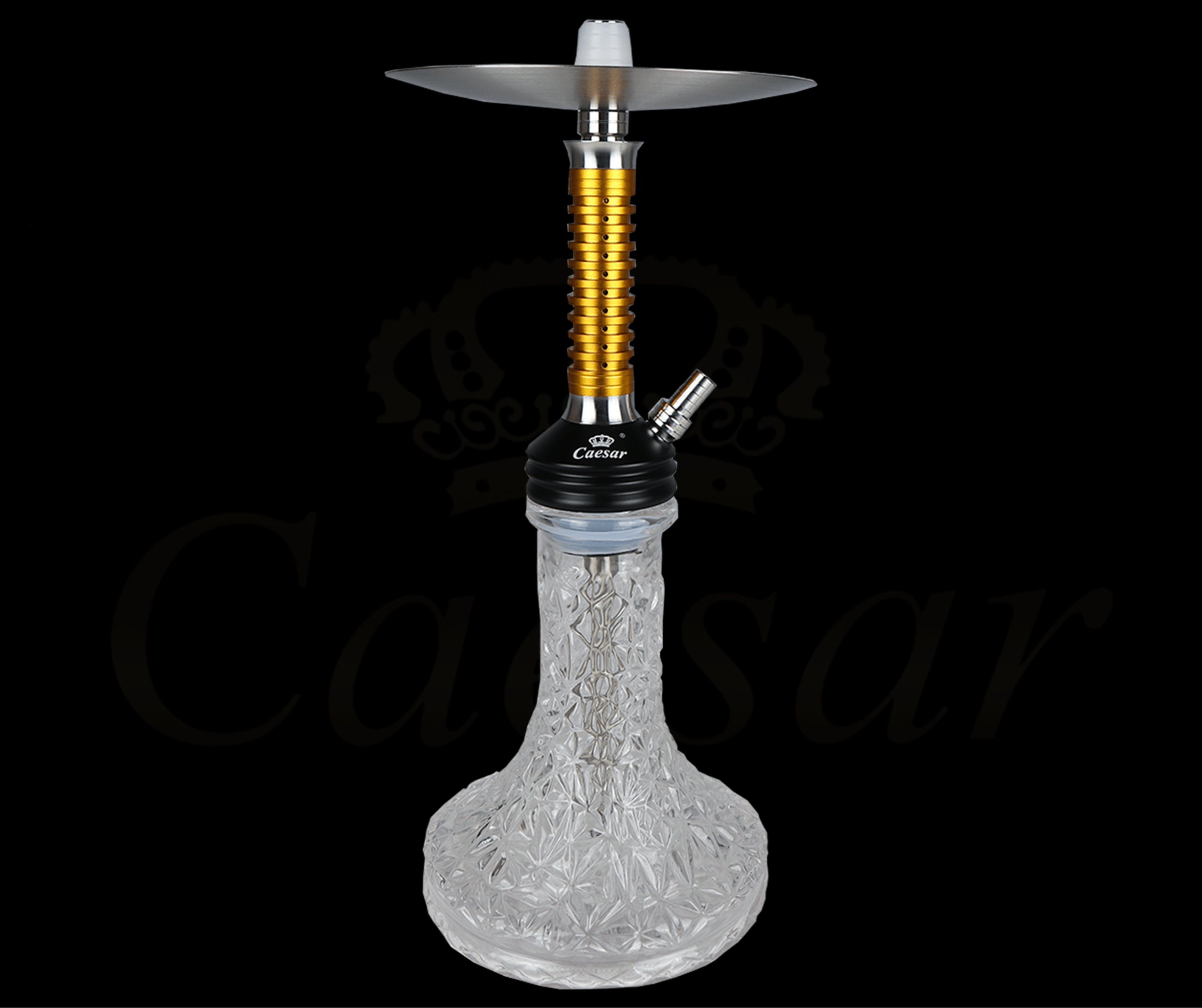 Caesar 12 - D - Gold / Transparent - Caesar Shisha