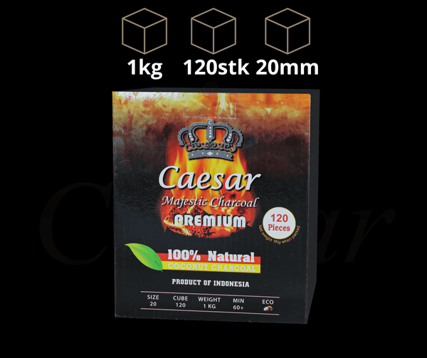 Caesar Brown 2.0 - Caesar Shisha