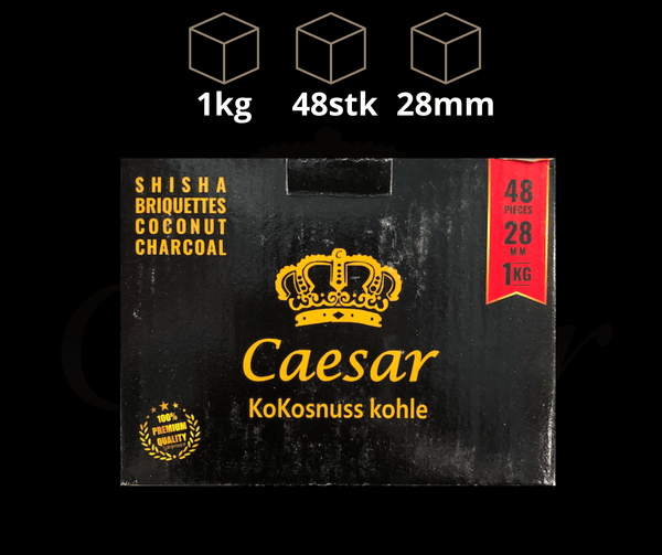 Caesar Dark Coco 28 - Caesar Shisha