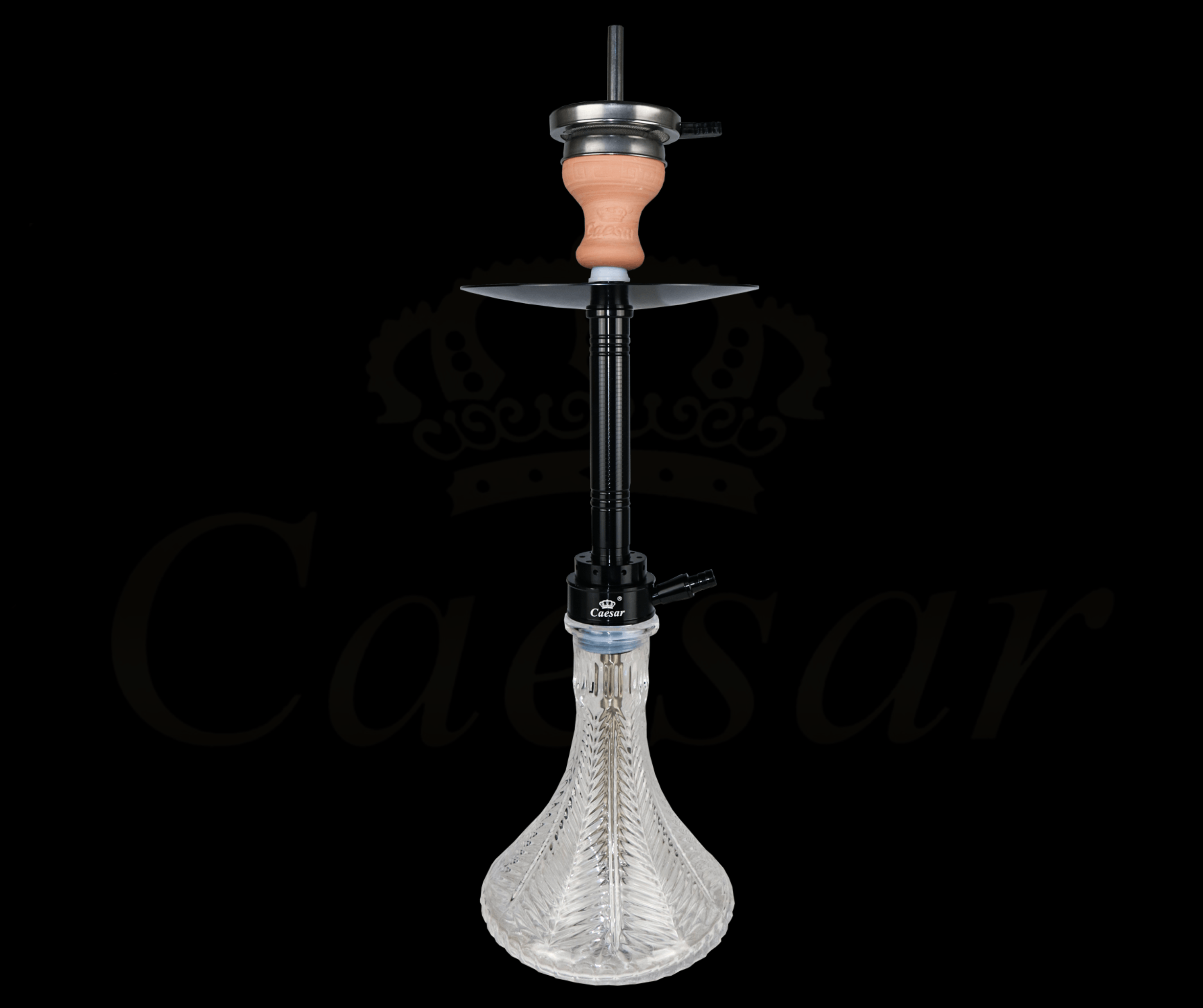 Caesar Model 10 / Black - Caesar Shisha