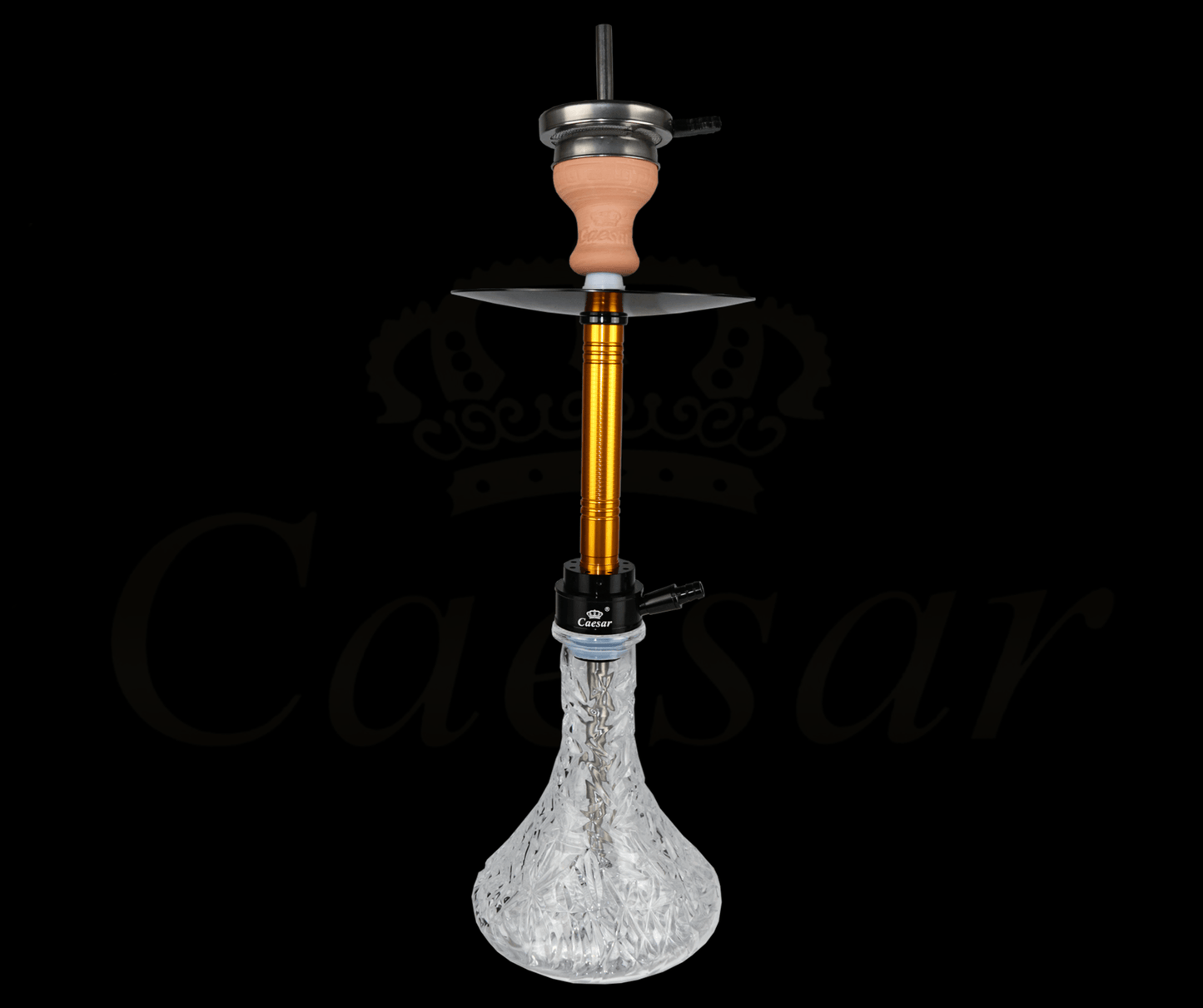 Caesar Model 10 / Gold - Caesar Shisha