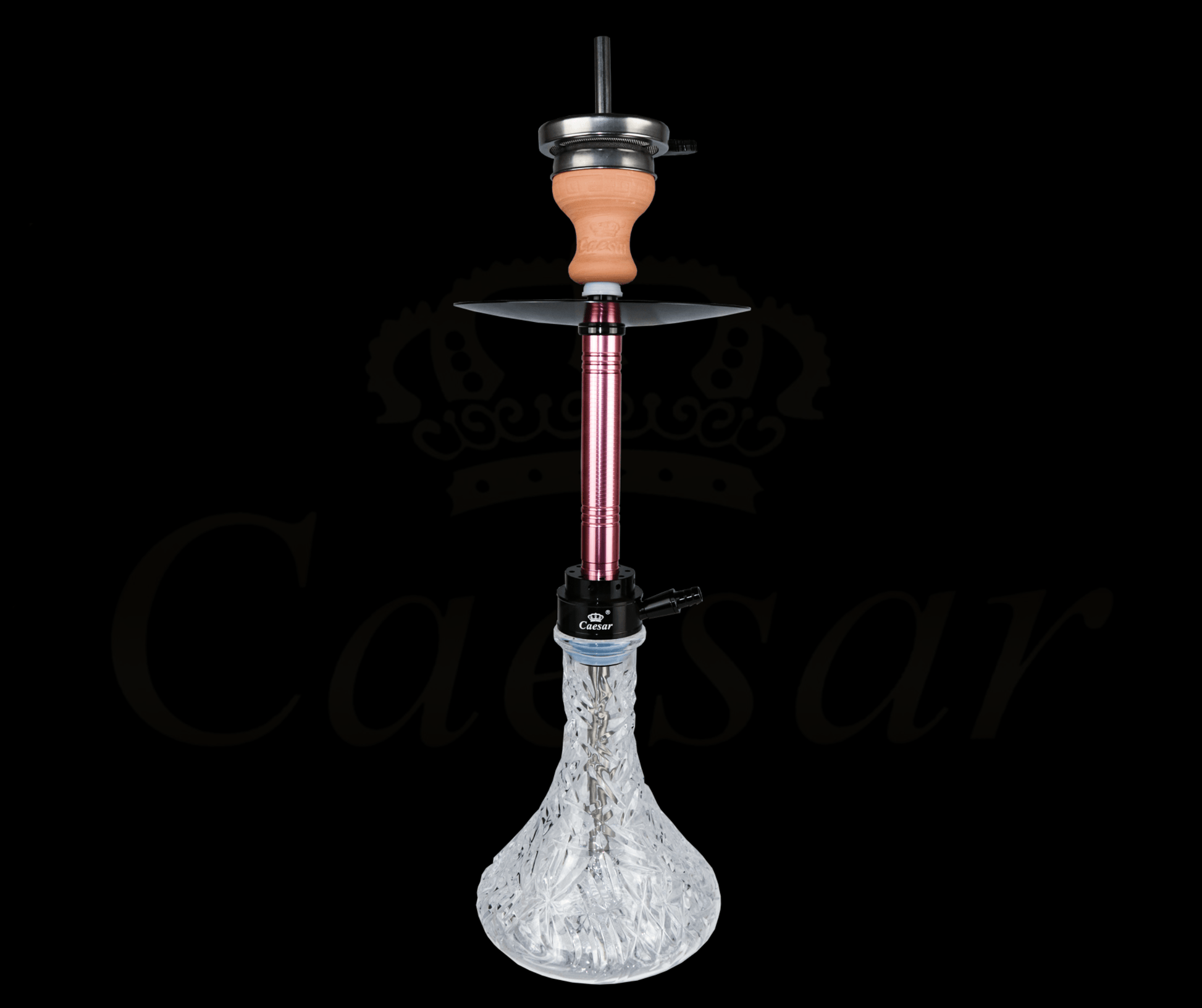 Caesar Model 10 / Pink - Black - Caesar Shisha