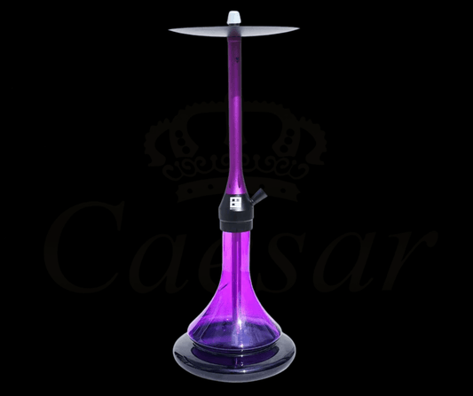 MG Purple Chameleon - Caesar Shisha