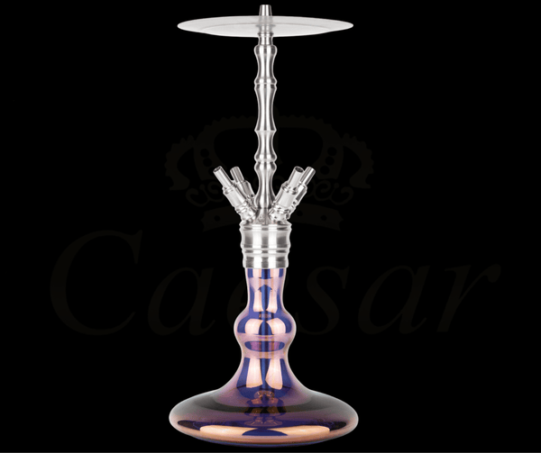 Octopuz Nautiluz - Purple Rain - Caesar Shisha