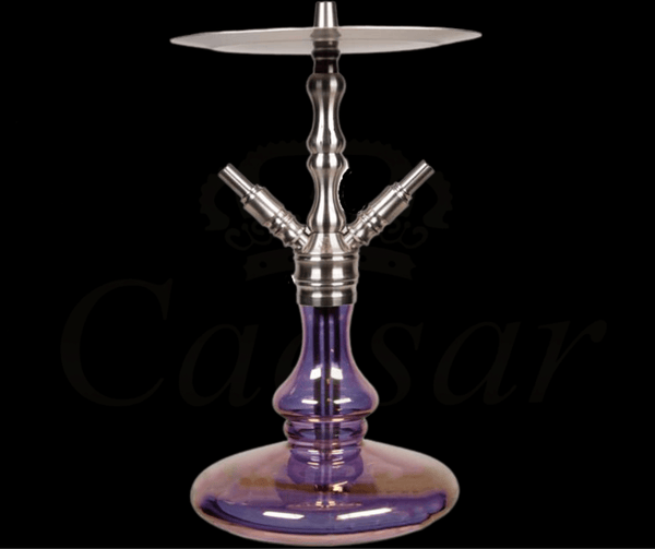 Octopuz Nemo - Purple Rain - Caesar Shisha