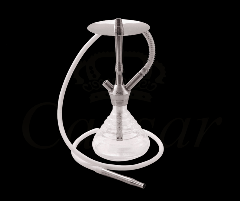 Oduman Gusto - Caesar Shisha