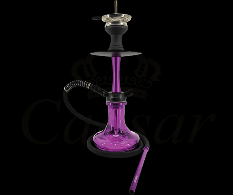StarBuzz Chico - Purple - Caesar Shisha