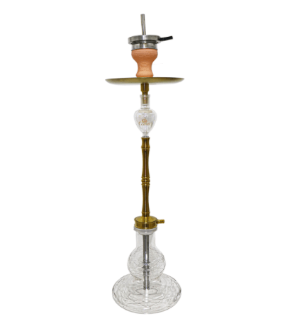 Tradi 360 - Golden - Transparent