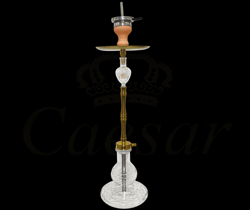 Tradi 360 - Golden - Transparent - Caesar Shisha