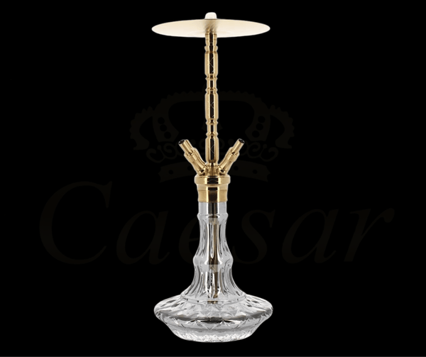 WD HOOKAH - G30G-24 - Caesar Shisha