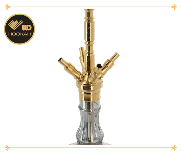 WD HOOKAH - G30G-24