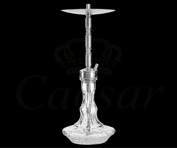 WD Hookah L1-1 Clear - Caesar Shisha