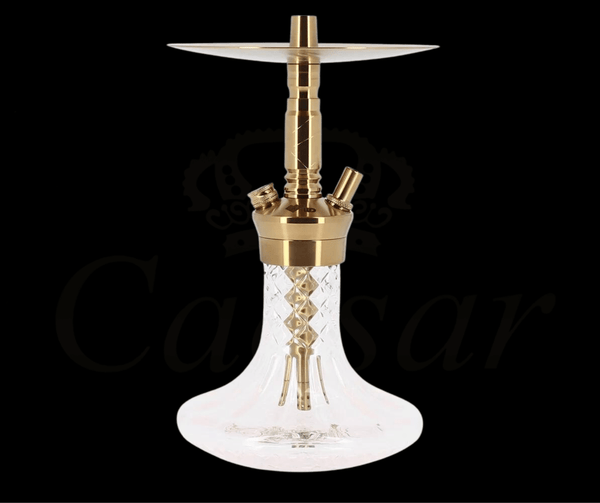 WD HOOKAH - MINI-G-11 - Caesar Shisha