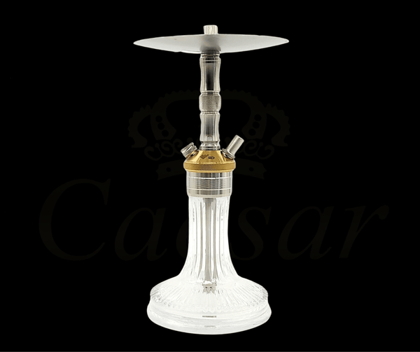 WD HOOKAH - X10AG-10BG - Caesar Shisha