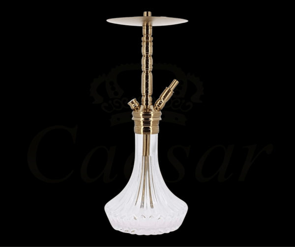 WD Hookah - X20AG-18 - Caesar Shisha