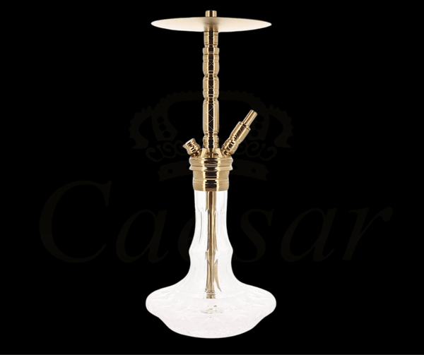 WD Hookah - X20AG-9 - Caesar Shisha
